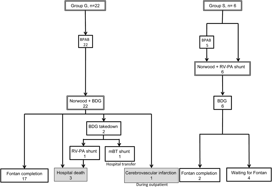 Pediatric Cardiology and Cardiac Surgery 31(3): 102-107 (2015)