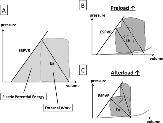 Pediatric Cardiology and Cardiac Surgery 31(1-2): 20-24 (2015)