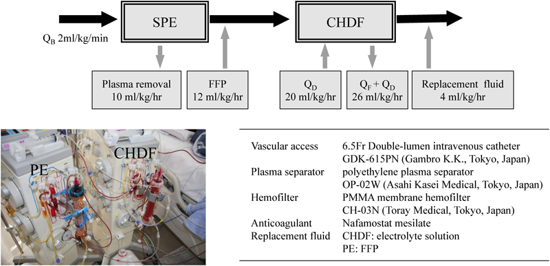 Pediatric Cardiology and Cardiac Surgery 31(5): 246-253 (2015)