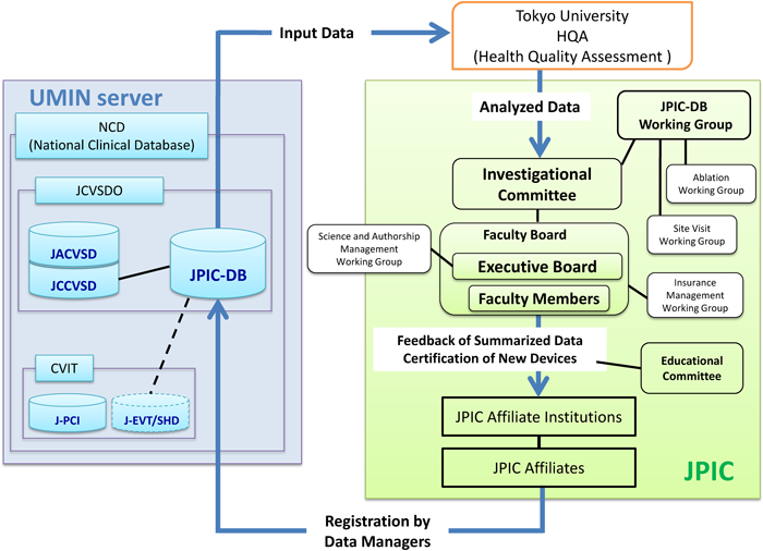 Pediatric Cardiology and Cardiac Surgery 31(1-2): 30-38 (2015)