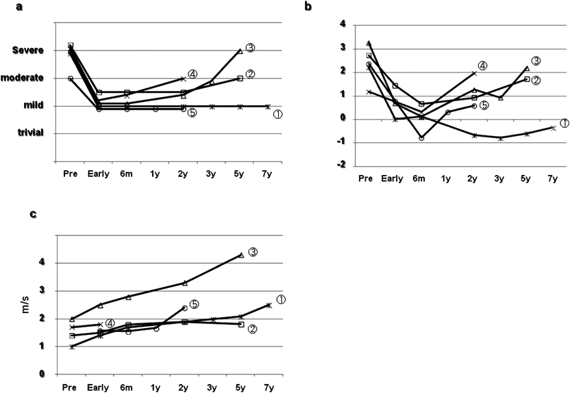 Pediatric Cardiology and Cardiac Surgery 31(6): 329-337 (2015)
