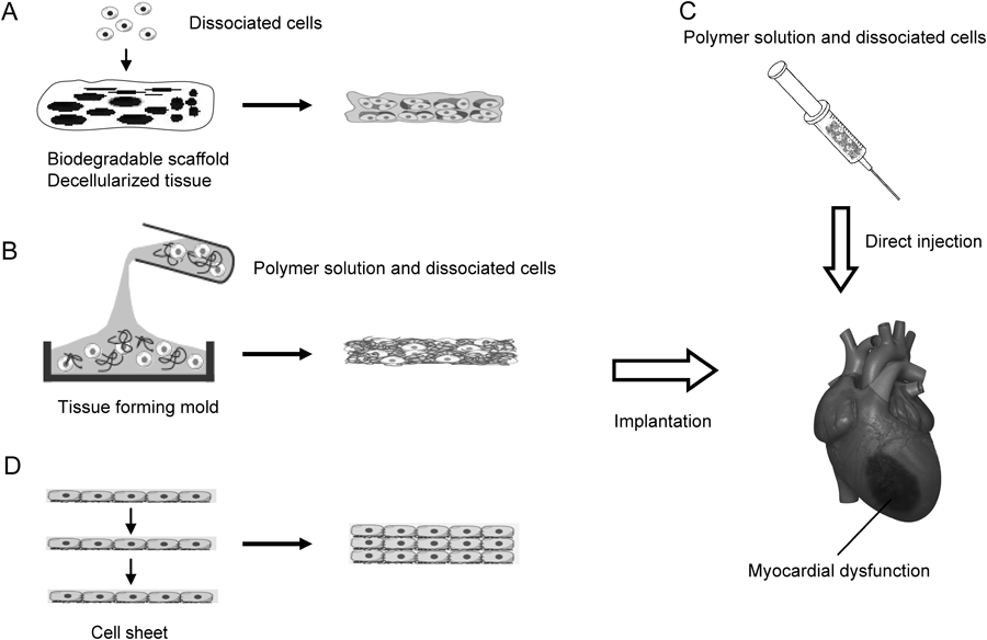 Pediatric Cardiology and Cardiac Surgery 31(3): 88-94 (2015)