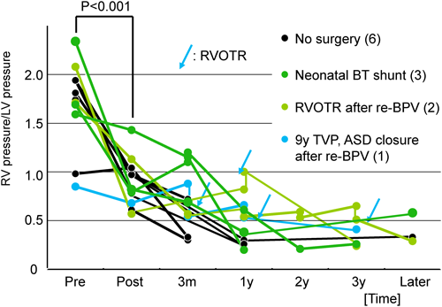 Pediatric Cardiology and Cardiac Surgery 31(1-2): 9-19 (2015)