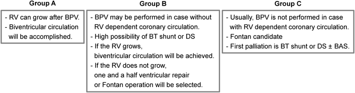 Pediatric Cardiology and Cardiac Surgery 31(1-2): 9-19 (2015)