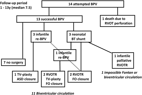 Pediatric Cardiology and Cardiac Surgery 31(1-2): 9-19 (2015)