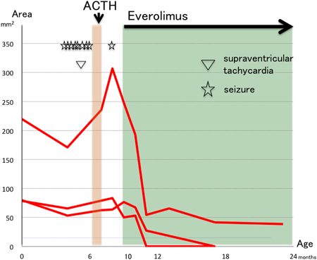 Pediatric Cardiology and Cardiac Surgery 32(3): 251-256 (2016)