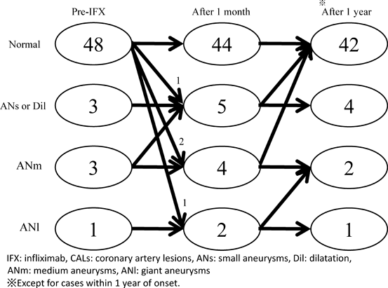 Pediatric Cardiology and Cardiac Surgery 33(1): 43-49 (2017)