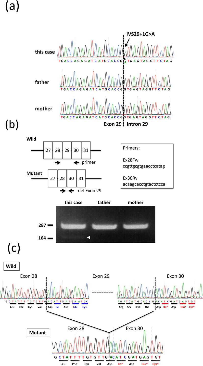Pediatric Cardiology and Cardiac Surgery 34(2): 77-83 (2018)