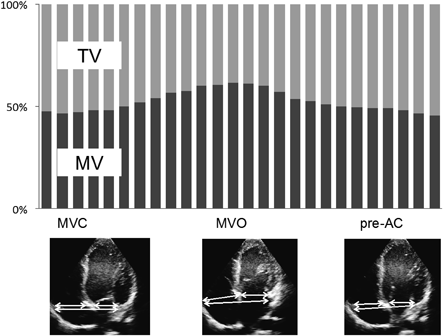Pediatric Cardiology and Cardiac Surgery 35(1): 30-37 (2019)