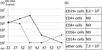 Pediatric Cardiology and Cardiac Surgery 37(2): 133-140 (2021)