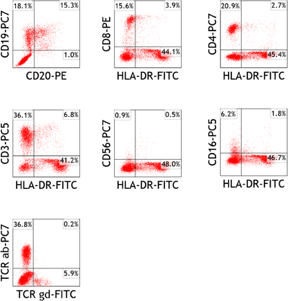 Pediatric Cardiology and Cardiac Surgery 37(2): 133-140 (2021)