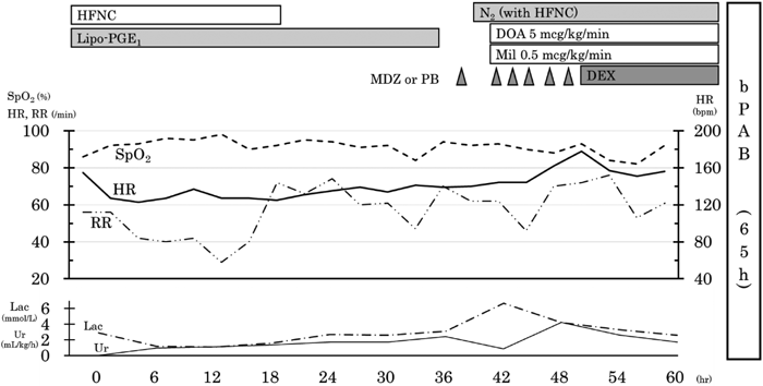 Pediatric Cardiology and Cardiac Surgery 41(2): 102-107 (2025)