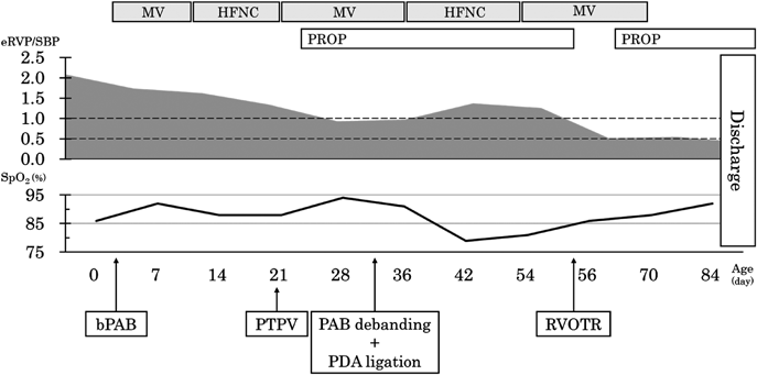 Pediatric Cardiology and Cardiac Surgery 41(2): 102-107 (2025)