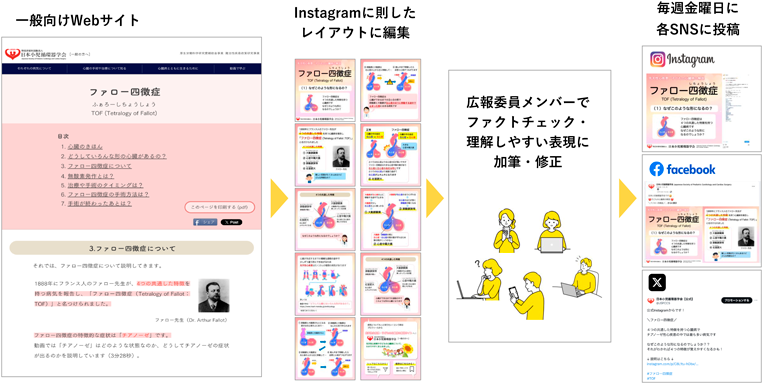 Pediatric Cardiology and Cardiac Surgery 41(3): 123-132 (2025)