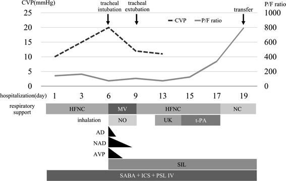 Pediatric Cardiology and Cardiac Surgery 41(3): 145-151 (2025)