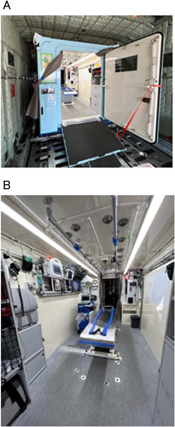 Pediatric Cardiology and Cardiac Surgery 41(1): 58-62 (2025)